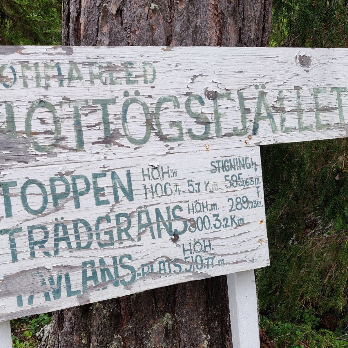 Hottögsfjället [# 5]