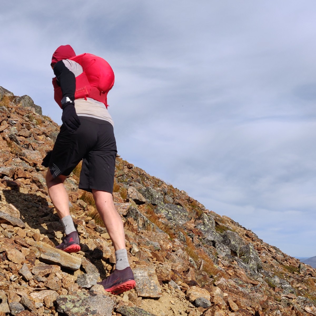 Snasahögarna [# 14-18]