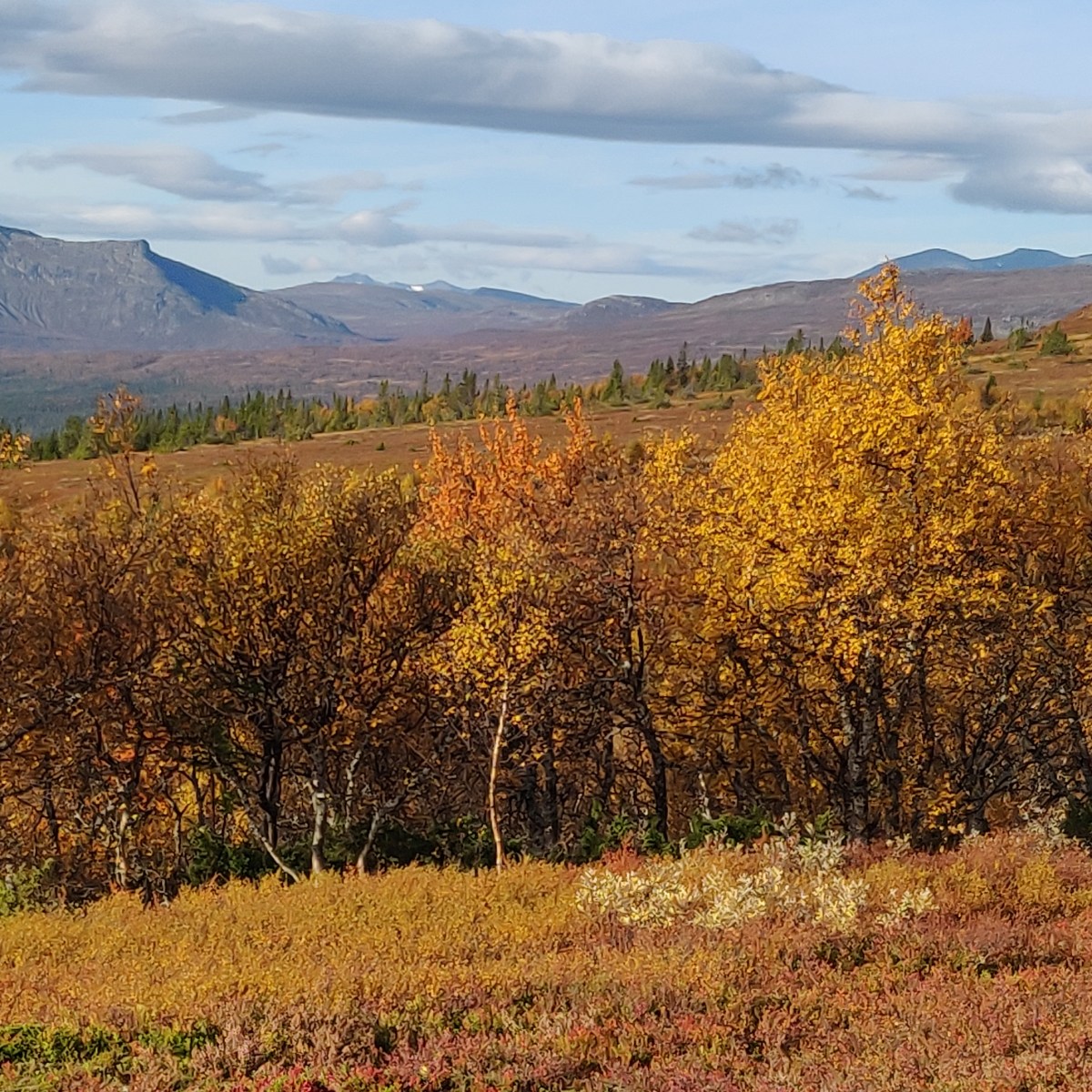 Ottfjällets 3 toppar&nbsp;[#22-24]