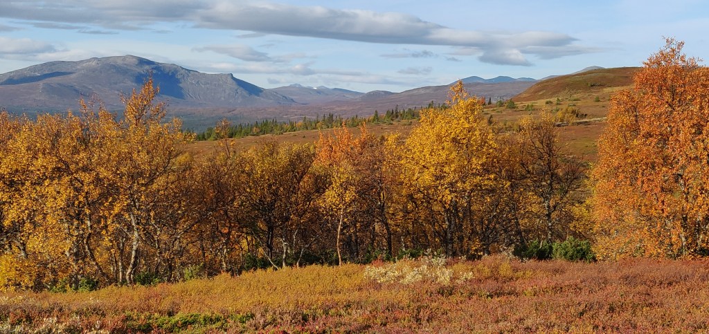 Ottfjällets 3 toppar&nbsp;[#22-24]